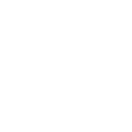 Partizan Sangal