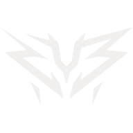 ZYB Esport