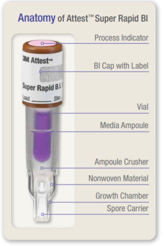 biological attest readout sterilization