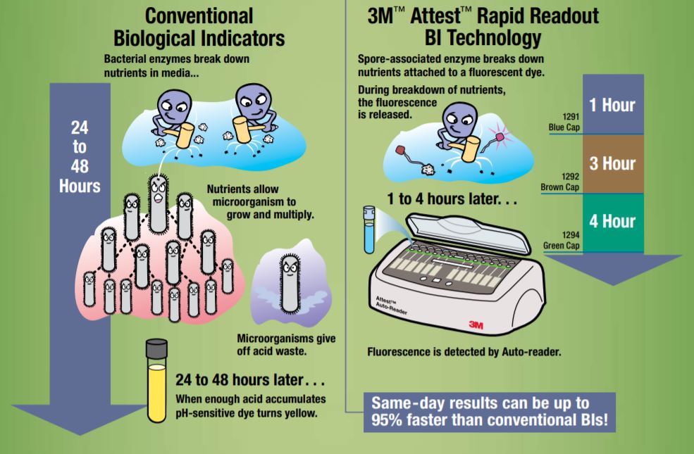 3m attest spore testing