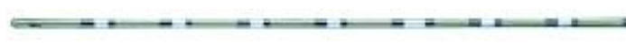 Woven Ureteral Catheters (re-sterilizable) Round Tip