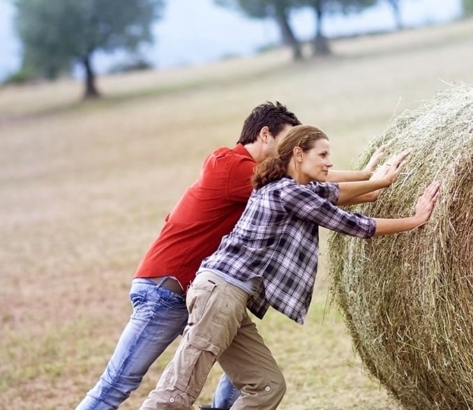 Kisvállalkozói agrár és területalapú támogatások előfinanszírozása