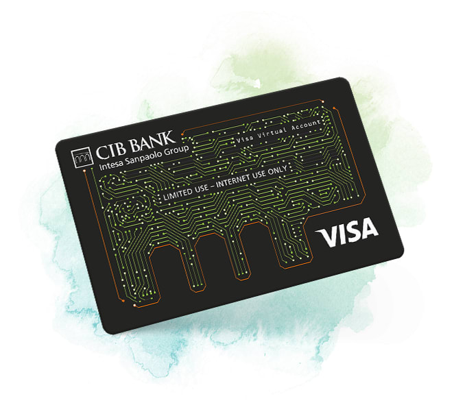 Visa InternetCard