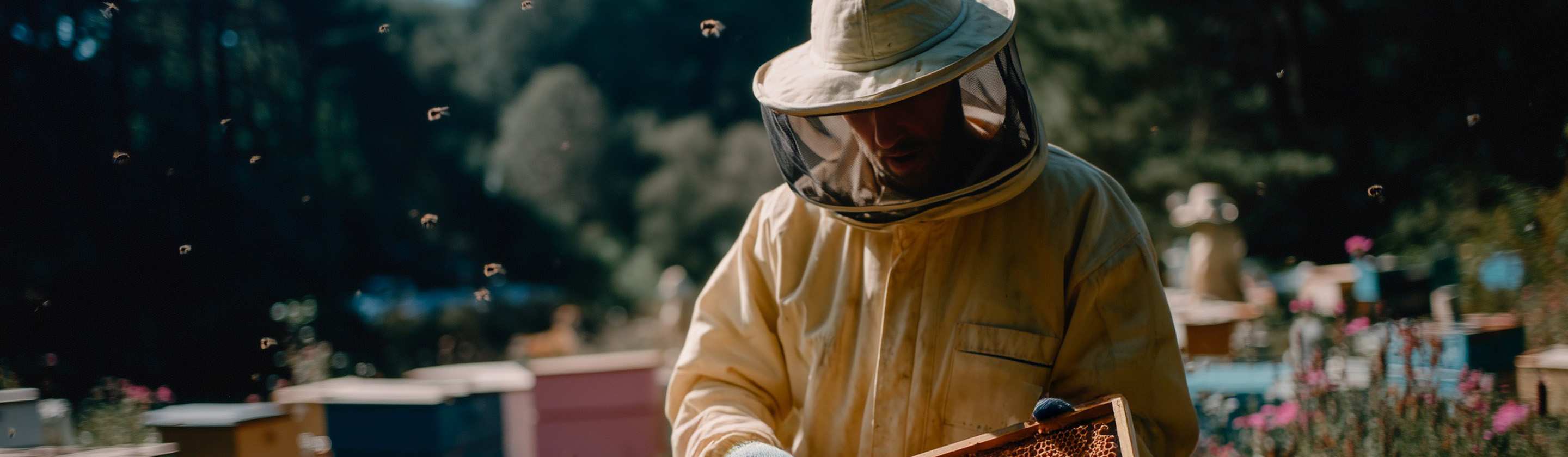 Megtakarítások, treasury