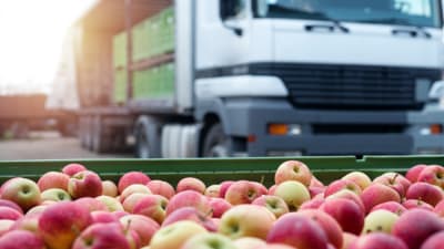 Fruit and food distribution.png
