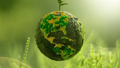 transport decarbonisation cilt event.jpg