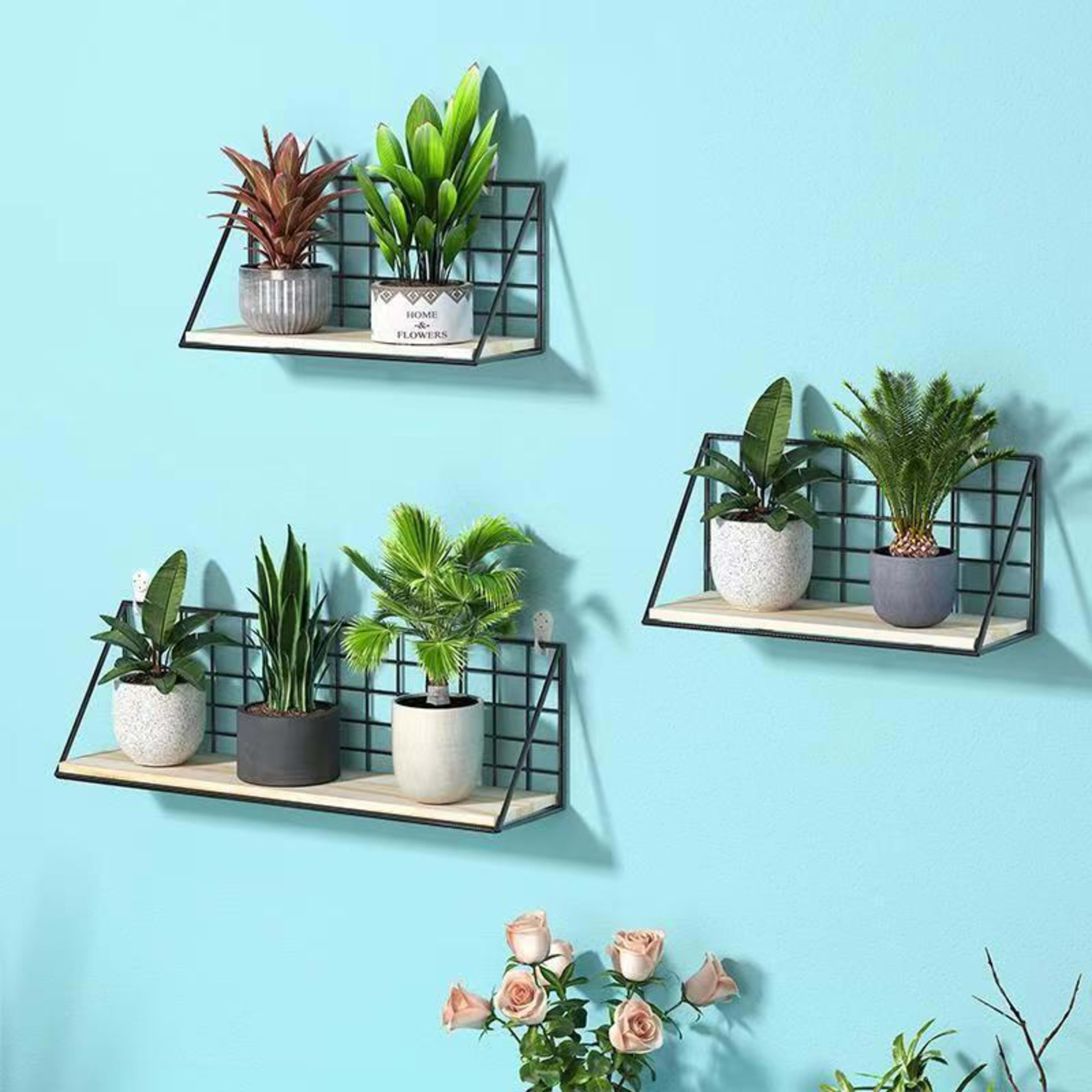 Artifact Storage Rack