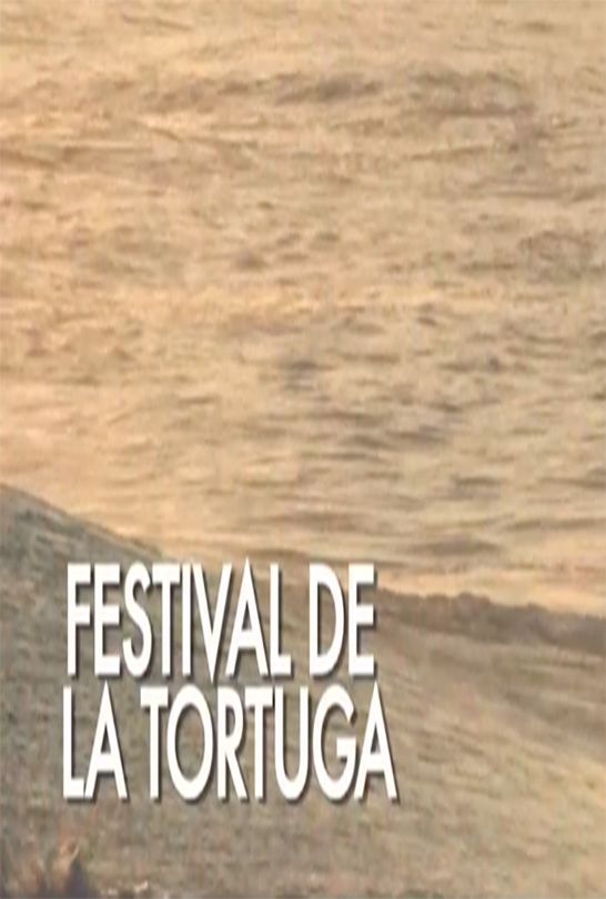 Portada de FESTIVAL DE LA TORTUGA Portada de FESTIVAL DE LA TORTUGA