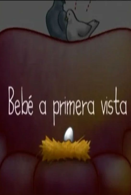 Portada de BEBÉ A PRIMERA VISTA
