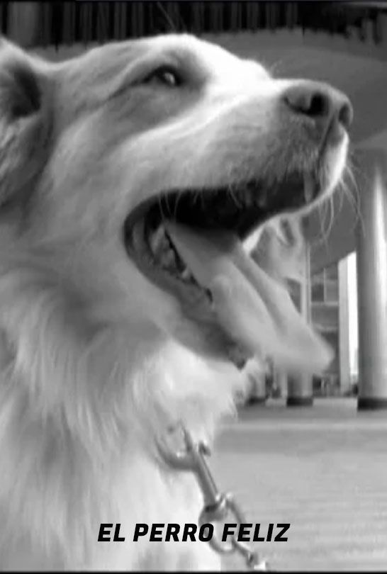 Portada de EL PERRO FELIZ Portada de EL PERRO FELIZ