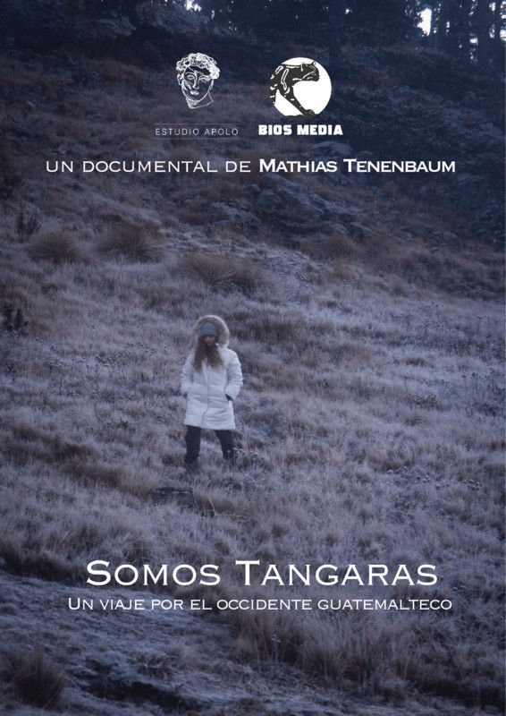 Portada de Somos tangaras