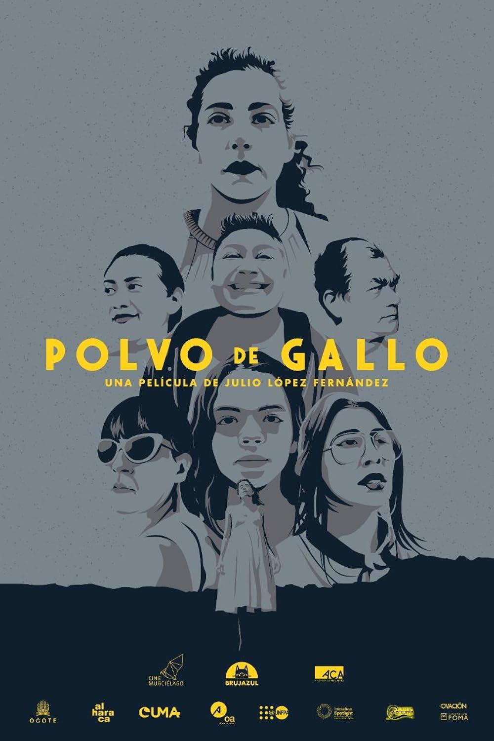 Portada de POLVO DE GALLO