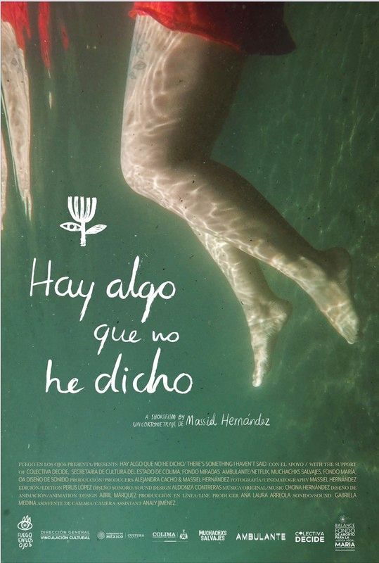 Portada de Hay algo que no he dicho