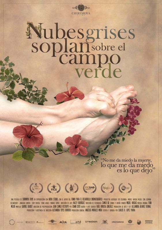 Portada de Nubes grises soplan sobre el campo verde