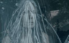 Poster de Ya no hay coyote