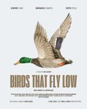 Poster de birds that fly low