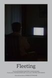 Poster de Fleeting