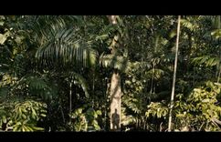 Poster de Luminoso Espacio Salvaje