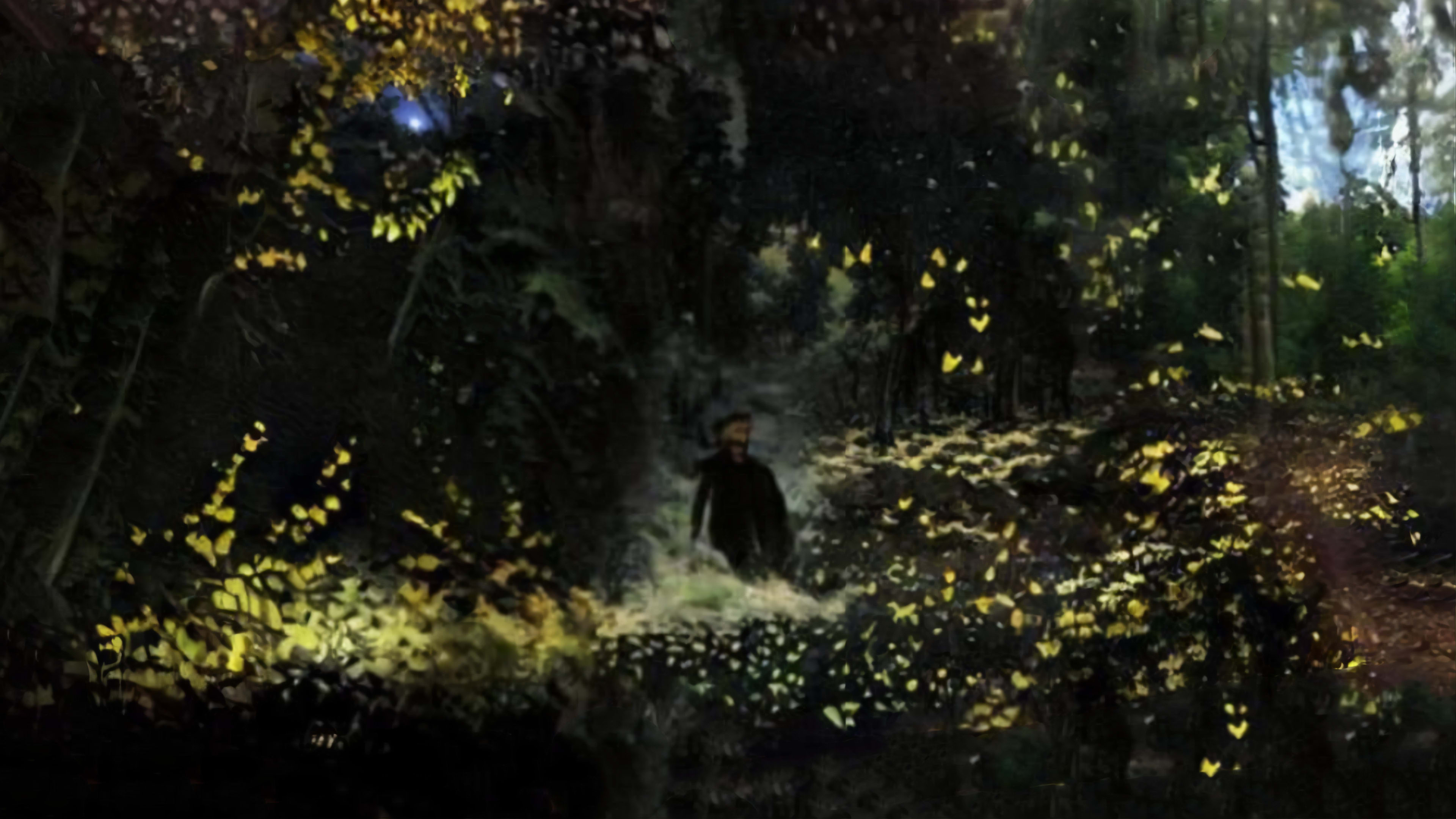 a bearded man crossing the forest in autumn and surrounded by a flock of yellow butterflies