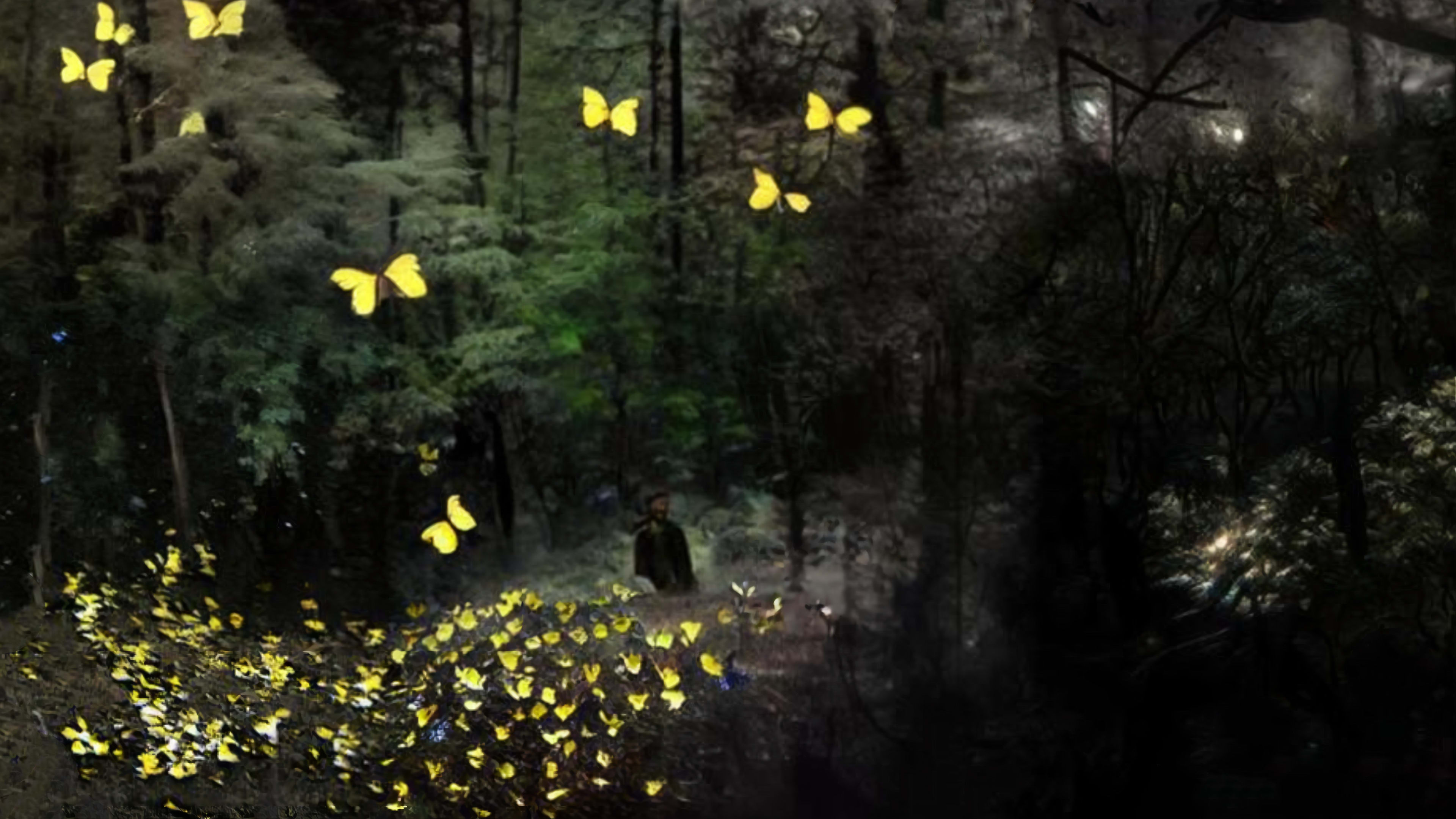 a bearded man crossing the forest in spring and surrounded by a flock of yellow butterflies