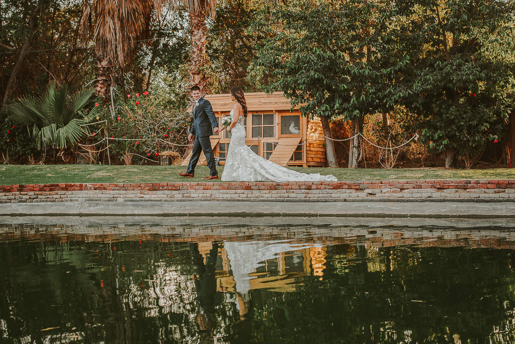 Wedding Photographers in Los Cabos