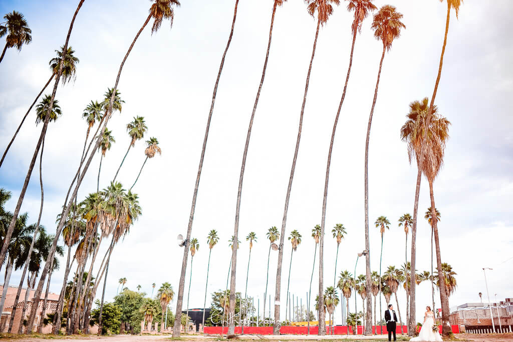 Wedding-Photographer-in-Los-Cabos