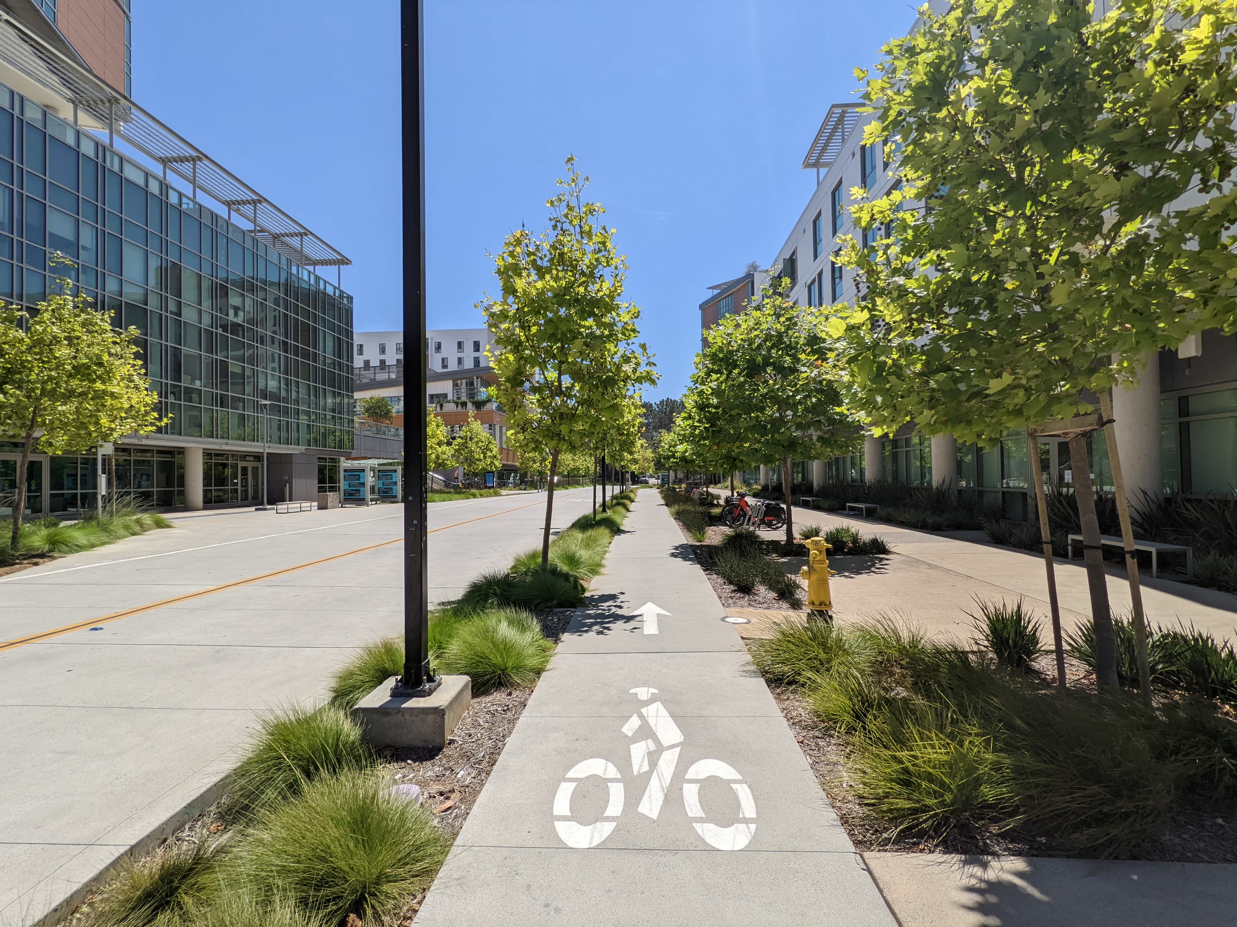 A separated bicycle facility at U.C. San Diego