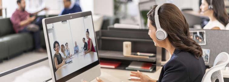 Online-Meeting via Cisco Webex