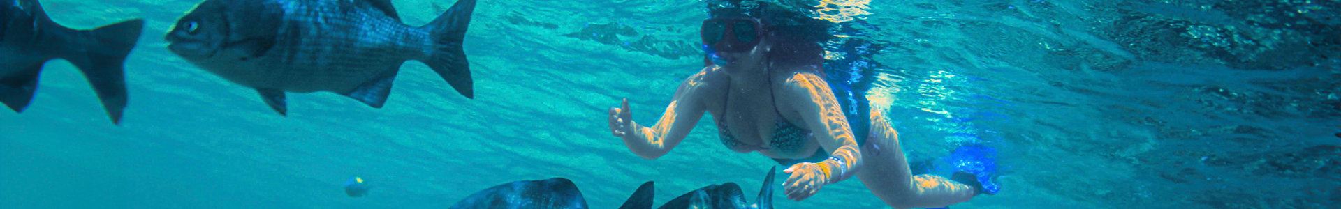 Tulum snorkeling cruise banner