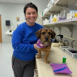 Ralston Vet photo 10 of 10