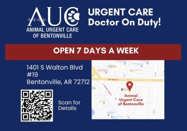 Animal Urgent Care of Bentonville photo 10 of 10