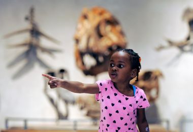 Denver Museum of Nature & Science photo 3 of 7
