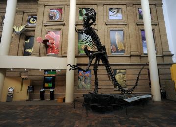 Denver Museum of Nature & Science photo 4 of 7