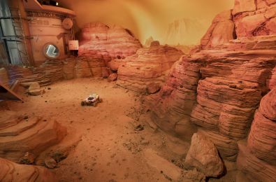 Denver Museum of Nature & Science photo 7 of 7