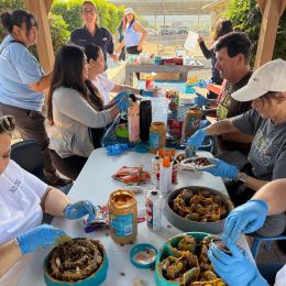 The Giving Partner Program-Chula Vista Community Foundation photo 2 of 9