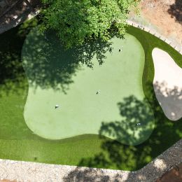 Cut Line Turf photo 4 of 10