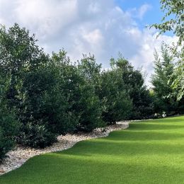Cut Line Turf photo 5 of 10