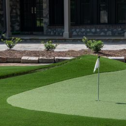 Cut Line Turf photo 8 of 10