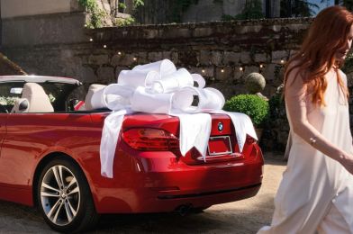 Taylor BMW photo 3 of 6