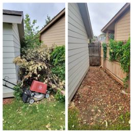 Back 2 Basics Junk Removal and Demolition photo 7 of 10