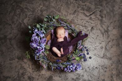 Noah's Ark Photography photo 5 of 6