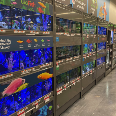 Pet Supplies Plus Yorba Linda