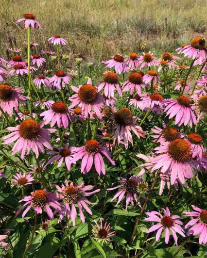 f5902a9d-8b6a-4c94-8cae-e1b962d8f821-1