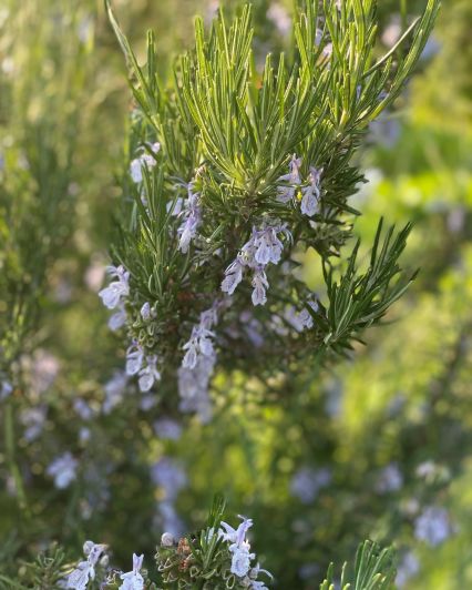 f5902a9d-8b6a-4c94-8cae-e1b962d8f821-2