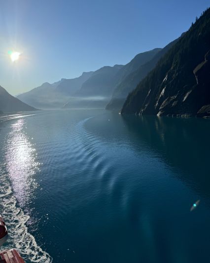 cb7e12e9-3190-42f5-a609-832dc3ba0c47-1