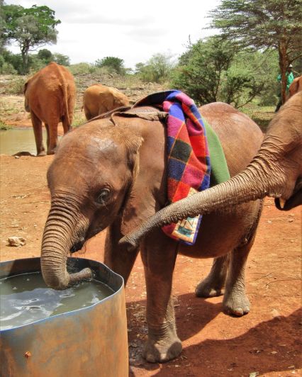 cb7e12e9-3190-42f5-a609-832dc3ba0c47-2