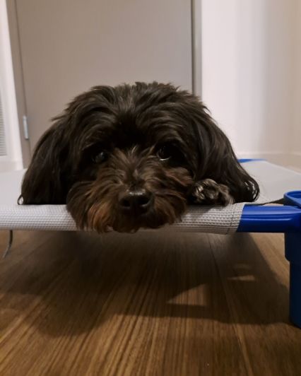 39d3c13d-baa3-443c-b988-cd1b8f4e6b3e-1