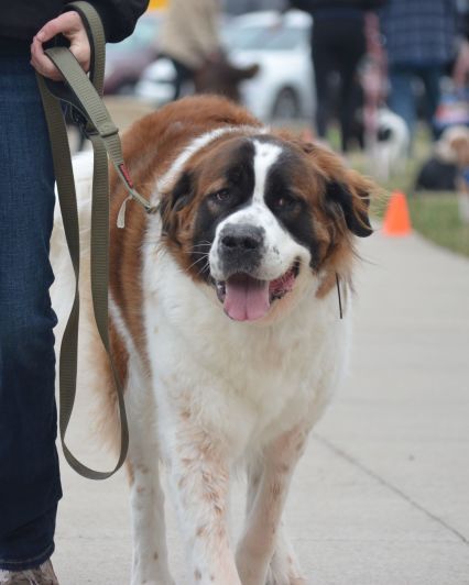 39d3c13d-baa3-443c-b988-cd1b8f4e6b3e-2