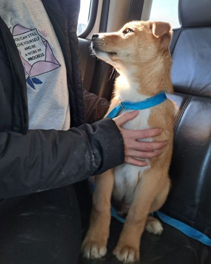 39d3c13d-baa3-443c-b988-cd1b8f4e6b3e-3