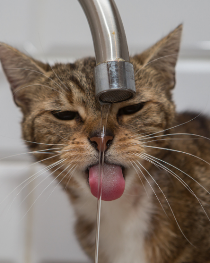 99ade3ea-f42e-4019-8d6b-c76b09aa1948-3